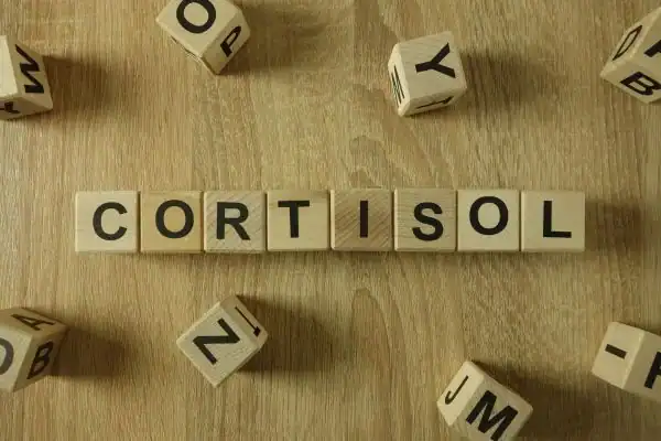 The Hidden Connection: How Stress Shapes Your Fitness and Body Composition 2 Image saying "Cortisol" and how stress Willenhall impacts your wellbeing and bodies shape